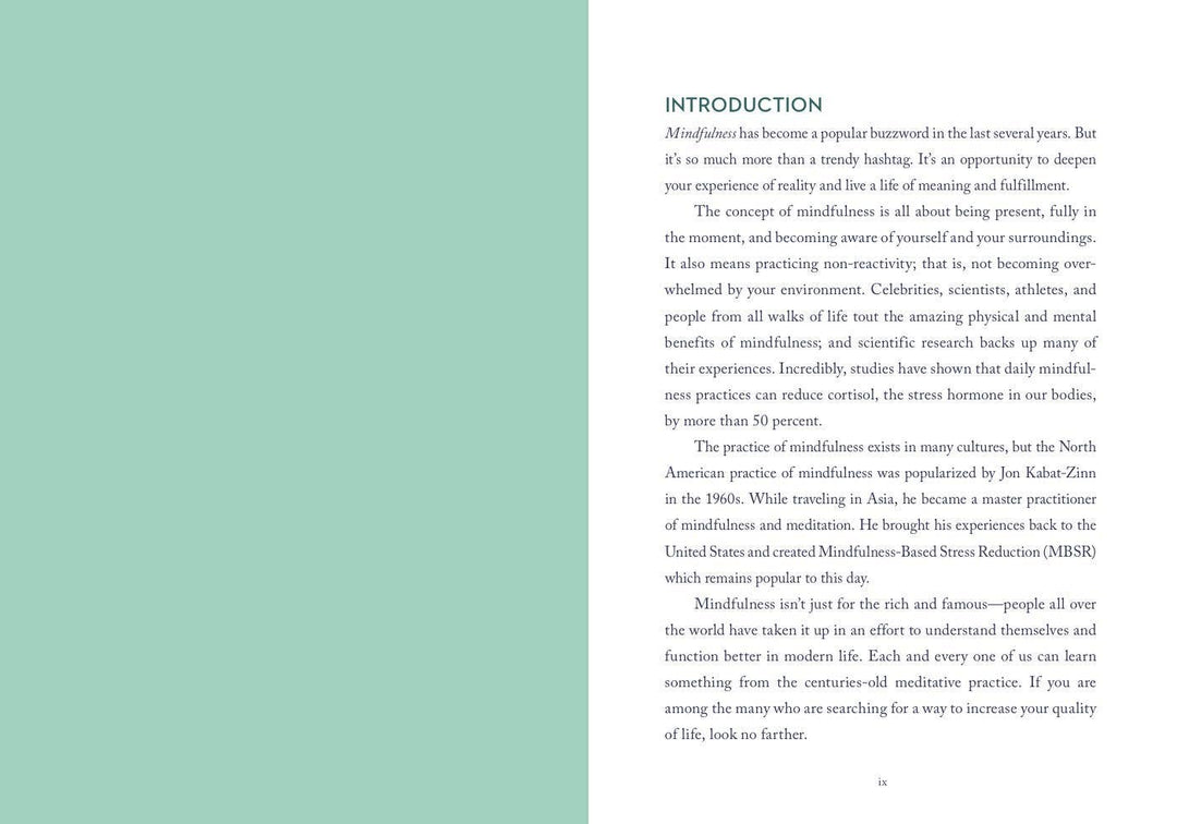 Book | Union Square & Co. | A Little Bit of Mindfulness | Amy Leigh MerCree