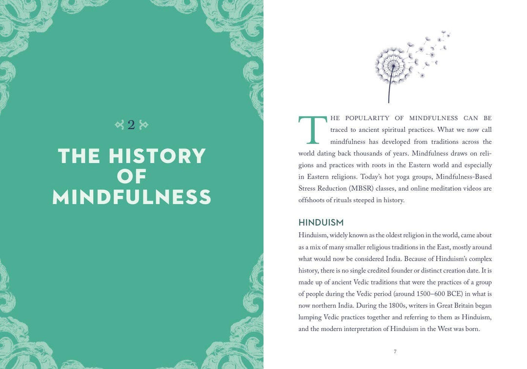 Book | Union Square & Co. | A Little Bit of Mindfulness | Amy Leigh MerCree
