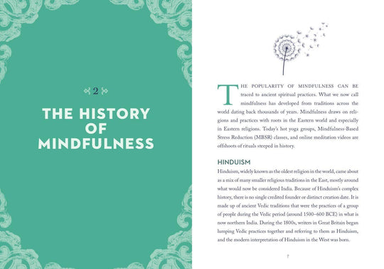Book | Union Square & Co. | A Little Bit of Mindfulness | Amy Leigh MerCree
