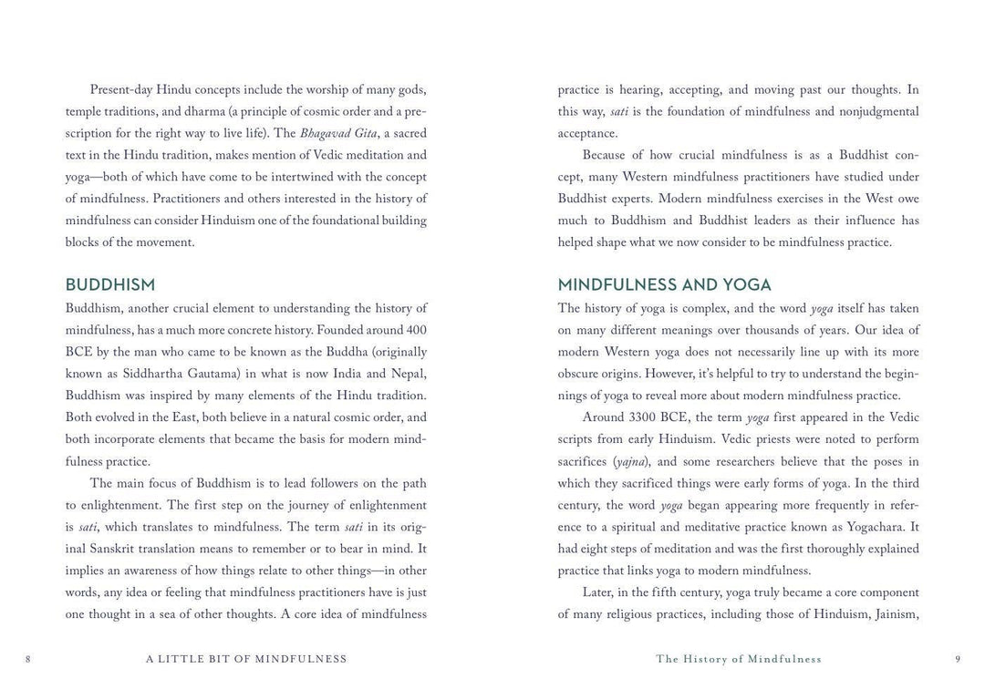 Book | Union Square & Co. | A Little Bit of Mindfulness | Amy Leigh MerCree