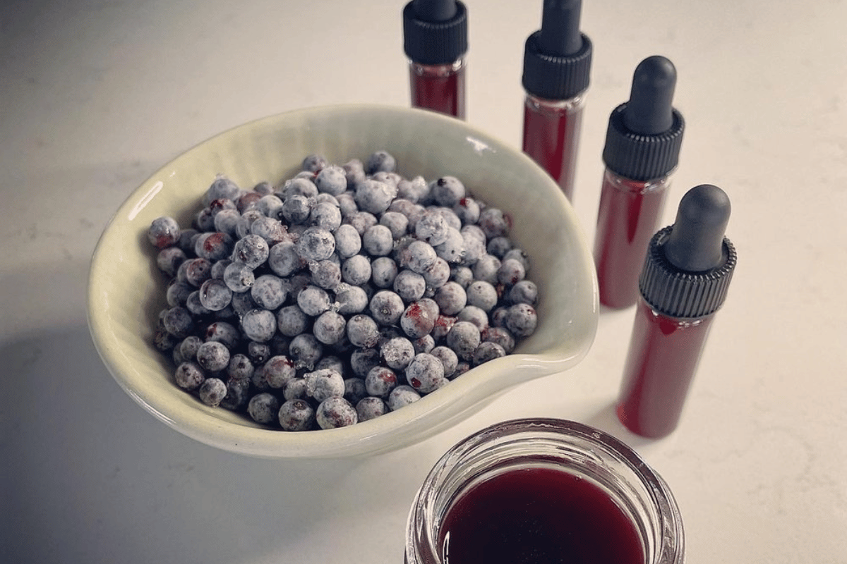 Bowl of Elderberries and Vials of Elderberry Tincture