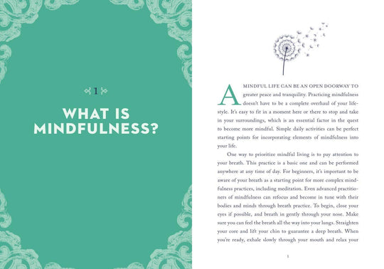 Book | Union Square & Co. | A Little Bit of Mindfulness | Amy Leigh MerCree